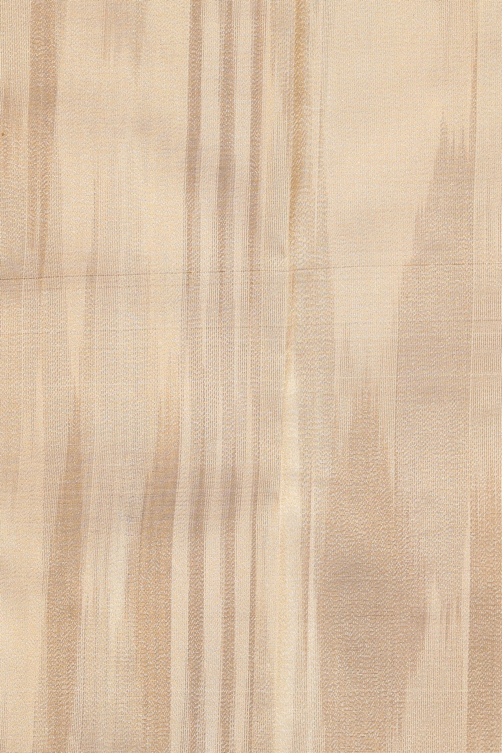 Image of Arani Silk Classy Beige Saree